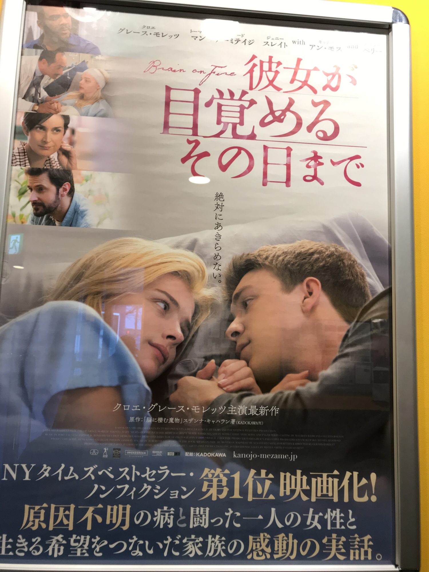 【映画】彼女が目覚めるその日まで 大人の世界一周アカデミー